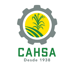 Cahsa